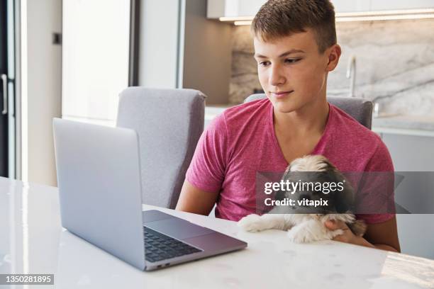 Puppy Computer Photos and Premium High Res Pictures - Getty Images