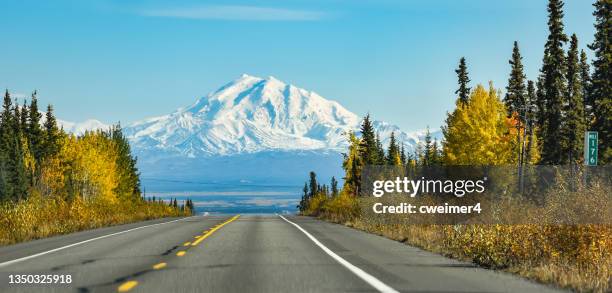 traveling in alaska - mount drum - alaska mountains stockfoto's en -beelden