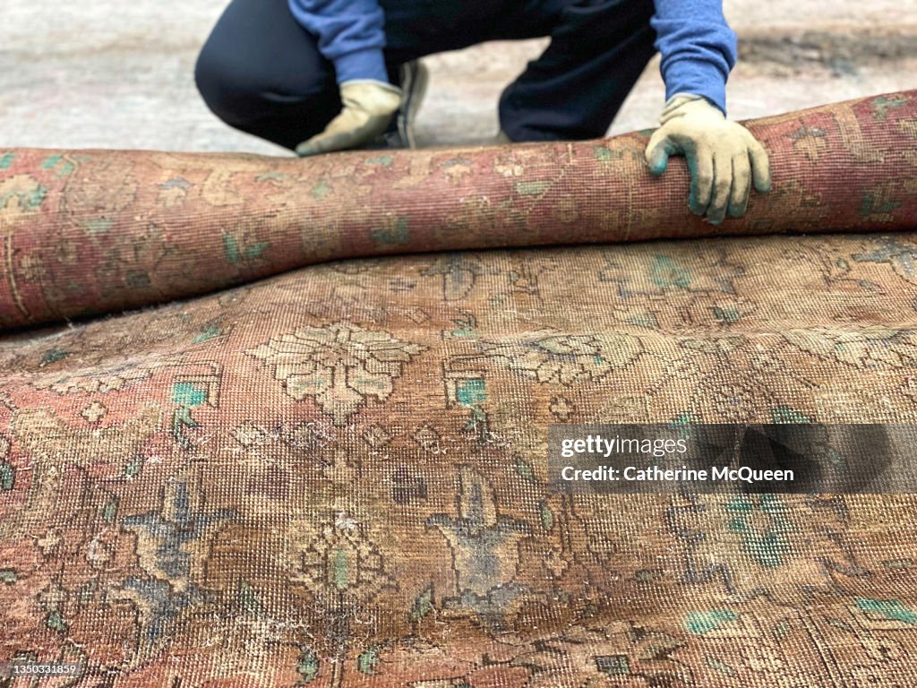 Contractor wearing protective gloves spreads a rug out to check for mold after flood in residential family home