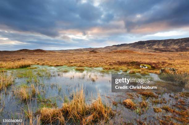 Moor Example Moor Photos and Premium High Res Pictures - Getty Images