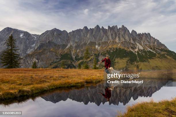 best friends - man with his dog are at impressive landscape in alps - hunting dog stockfoto's en -beelden
