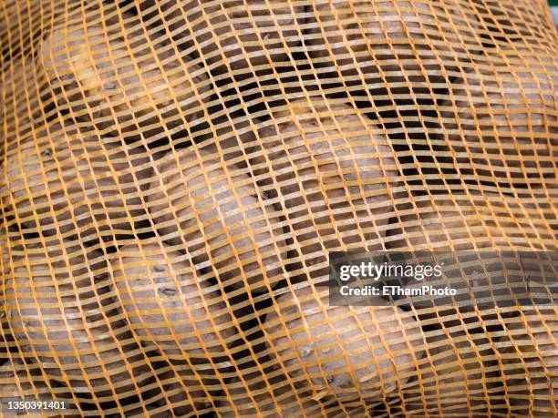 packed potatoes in a mesh bag - potatoes in a sack stock-fotos und bilder