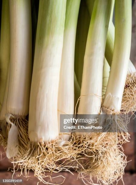 leek at a food market - poireau photos et images de collection