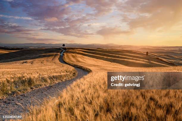 paesaggio toscano al tramonto - crete senesi - single track foto e immagini stock