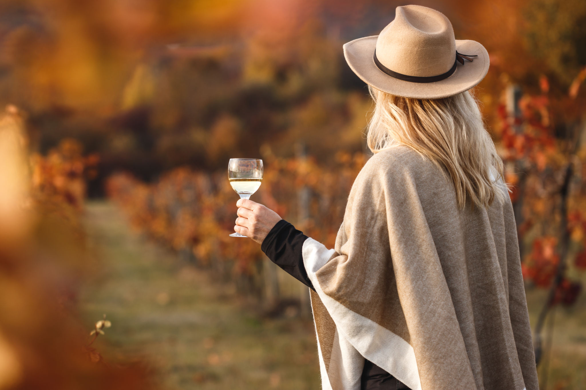 fall festival vineyard