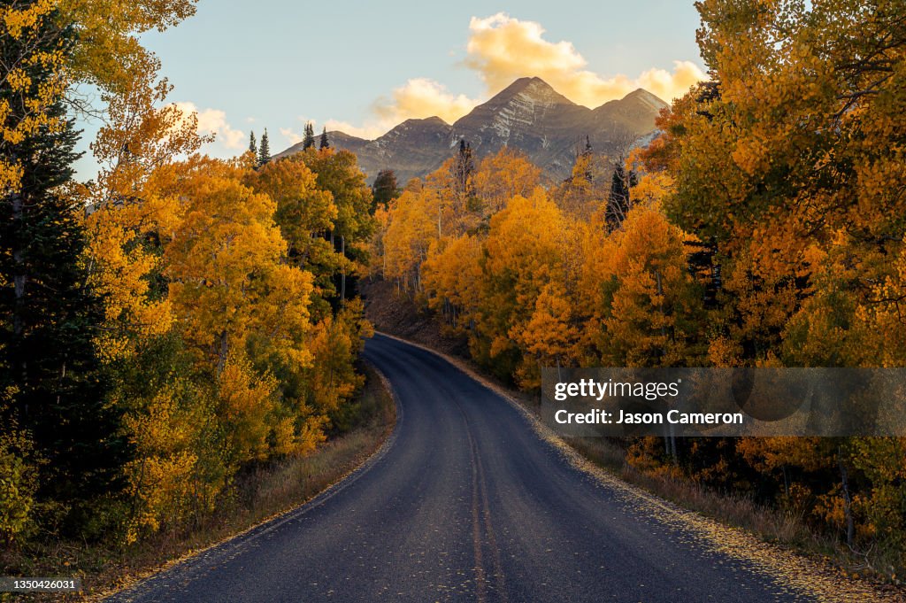 Nebo Loop Mount Nebo Loop Road In The Fall High-Res Stock Photo - Getty Images