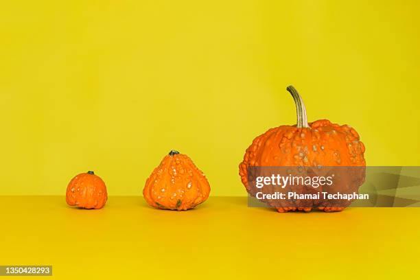 pumpkins on yellow background - medias - fotografias e filmes do acervo