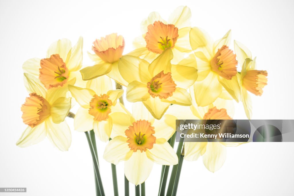 Springtime