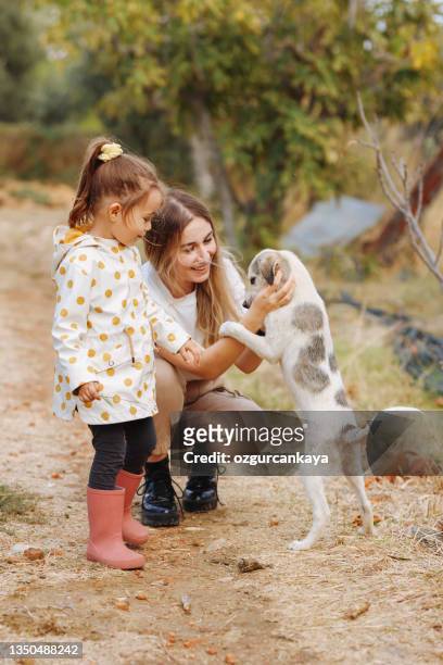 little girl and mother with dog on an organic farm - animal related occupation 個照片及圖片檔