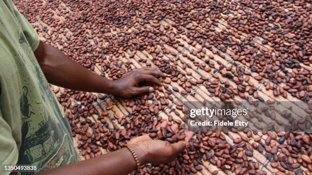 A Guide to Sustainable Cocoa and Coffee Sourcing from Africa
