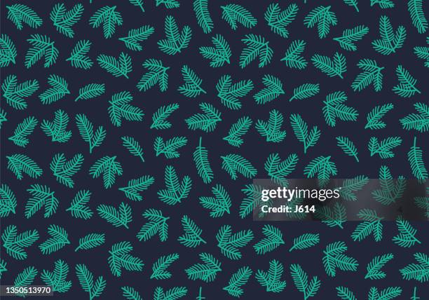 kiefernnadeln nahtloses muster - nadel pflanzenbestandteile stock-grafiken, -clipart, -cartoons und -symbole