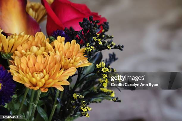 autumn and halloween flowers - leichenbestatter stock-fotos und bilder