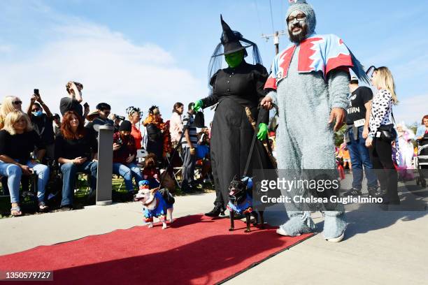 Participants dressed as the Wicked Witch of the West and the flying monkeys from "The Wizard of Oz" are seen at the Haute Dog Howl'oween Parade at...