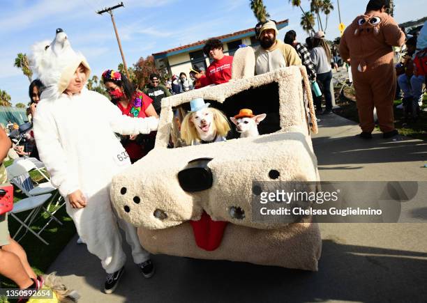 Participants are seen wearing costumes from "Dumb and Dumber" at the Haute Dog Howl'oween Parade at Marina Vista Park on October 31, 2021 in Long...