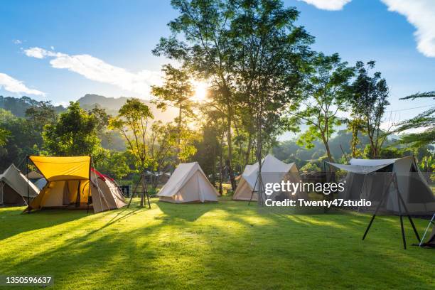 camping tents in campsite - tent ストックフォトと画像