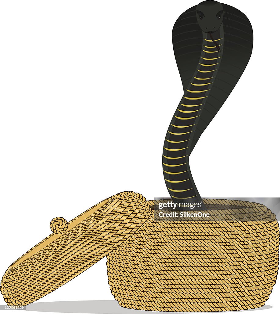 Cobra