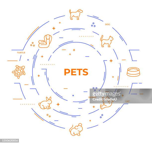 ilustrações de stock, clip art, desenhos animados e ícones de pet shop infographic template - cat food