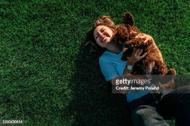 cute candid portrait of a cheerful young woman making a face as her pet "sheepadoodle" fluffy dog wiggles to get free while playing in a grass field - laying stockfoto's en -beelden