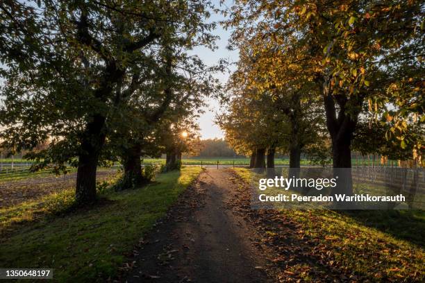 Paths In Parallel Parallel Parkway Photos and Premium High Res Pictures - Getty Images