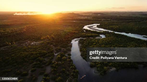 maracaípe river in porto de galinhas, ipojuca - mata atlantica 個照片及圖片檔