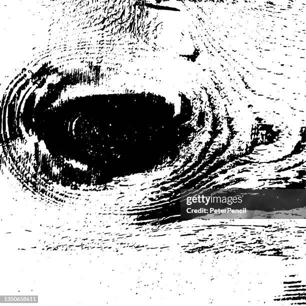 tree with a knot. grunge texture. black dusty scratchy pattern. abstract grainy background. vector design artwork. textured effect. crack. - hatch pattern stock illustrations