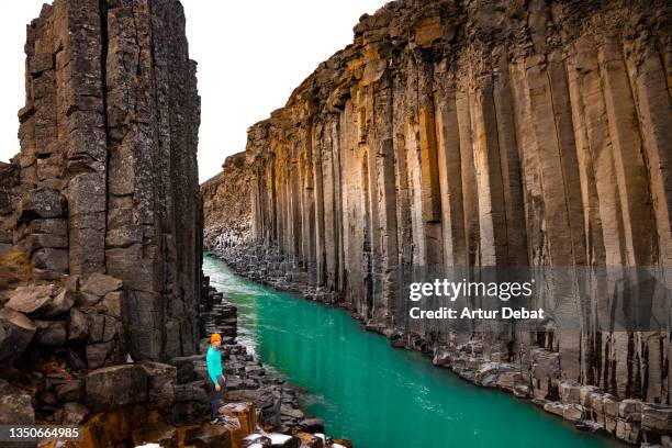 guy in the stuðlagil canyon with basalt rock formation in iceland. - basalt stock pictures, royalty-free photos & images