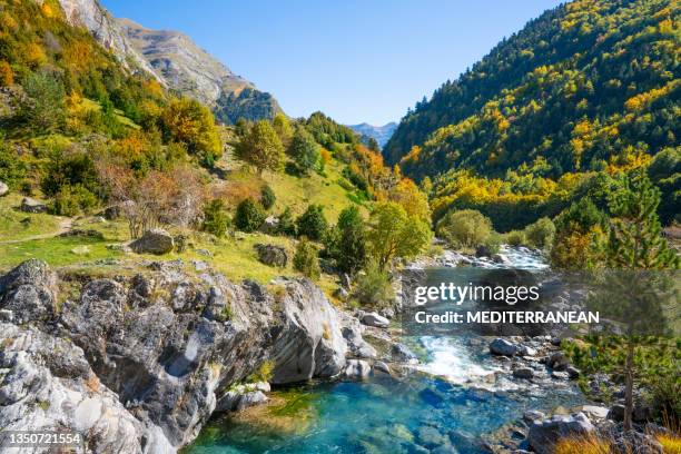 rio ara river in bujaruelo of ordesa valle de ordiso autumn at h - pyrenees stock pictures, royalty-free photos & images