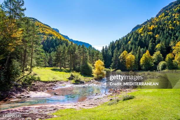 herbst selva de oza im valle de hecho von huesca bei den pyrenäen von s - pyrénées stock-fotos und bilder