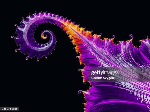 purple psychedelic swirl fern fractal on black background - fibonacci photos et images de collection
