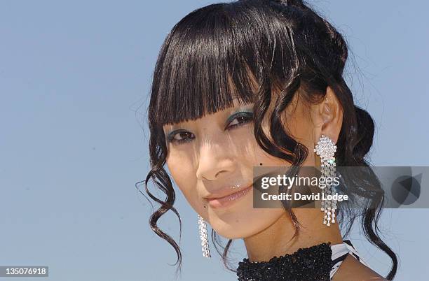 Bai Ling during 2006 Cannes Film Festival - "Shanghai Baby" - Photocall at Palais du Festival in Cannes, France.