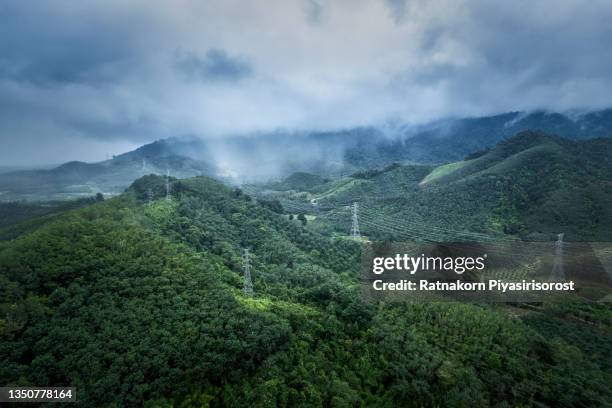 aerial drone view of transmission tower in green forest and beautiful morning smooth fog and rain. energy and environment concept. high voltage power poles. - power mast stock pictures, royalty-free photos & images