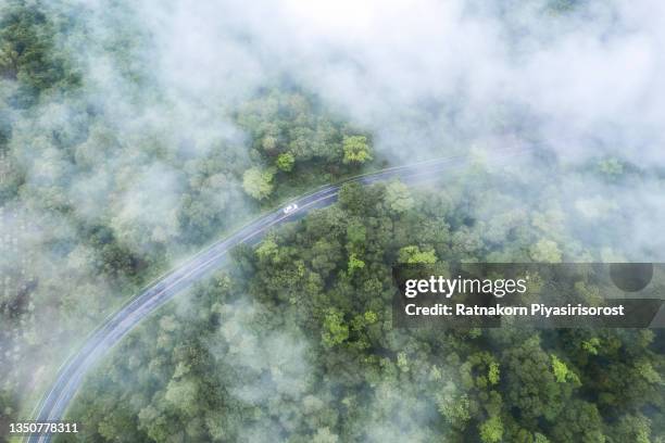 aerial view of curved country road with green summer fog forest at morning in thailand. - nebel stock-fotos und bilder