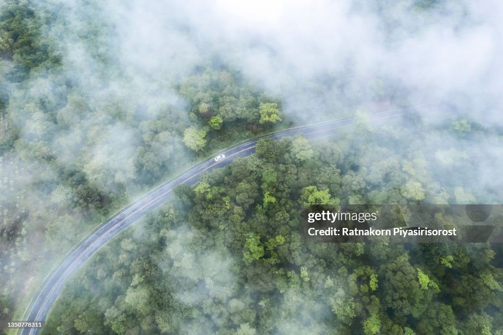 Aerial view of curved country road with green summer fog forest at Morning in Thailand.
