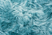 Fur texture top view. Turquoise fur background. Fur pattern. Texture of turquoise shaggy fur. Wool texture. Flaffy sheepskin