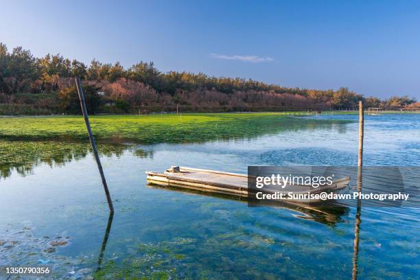 a sampan moored in a fish farming pond - floß stock-fotos und bilder