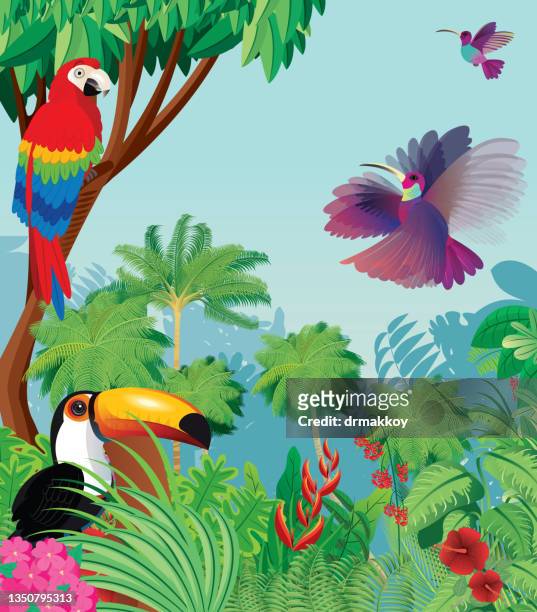 tropical rainforest - toucan 幅插畫檔、美工圖案、卡通及圖標