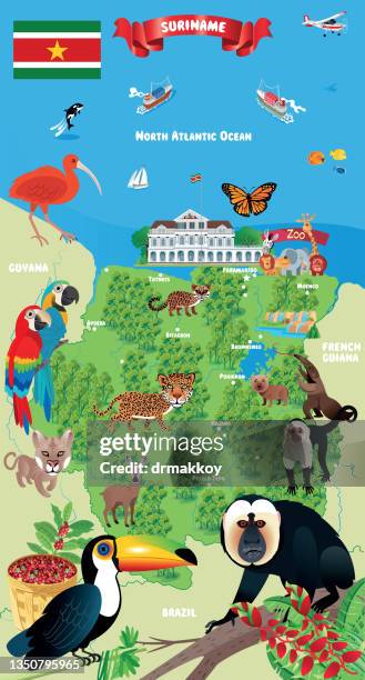 Suriname Travel Map, Bildbanksbilder