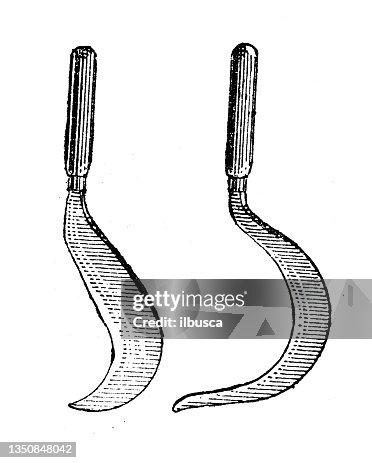 Antique illustration: Sickle Antique illustration: Sickle