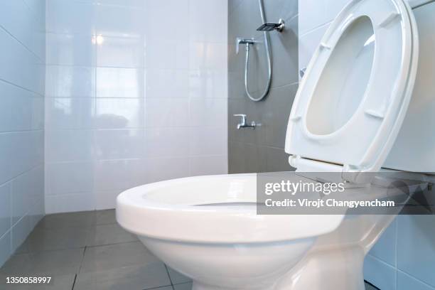 toilet bowl in the restroom - toilet bowl bathroom stock pictures, royalty-free photos & images