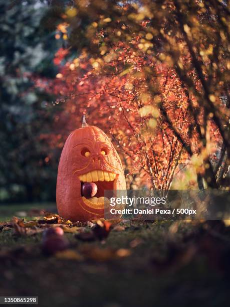 close-up of jack o lantern figurine on tree during halloween,czech republic - czech republic autumn stock pictures, royalty-free photos & images