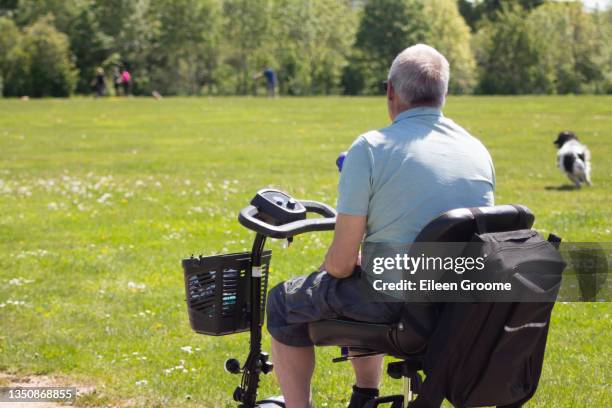 man on mobility scooter playing fetch with his spaniel from his chair, enjoying the freedom to be outside in the sunshine with his pet that the disability scooter gives him. - mobility scooter stock pictures, royalty-free photos & images