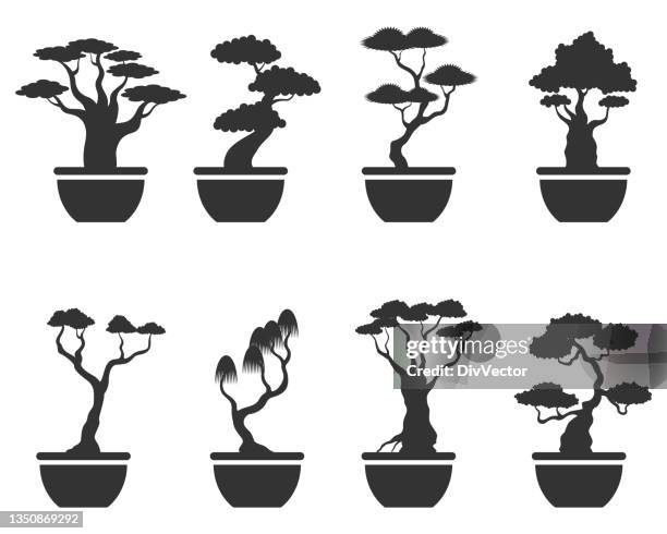 bonsai vector set - bonsai tree stock illustrations