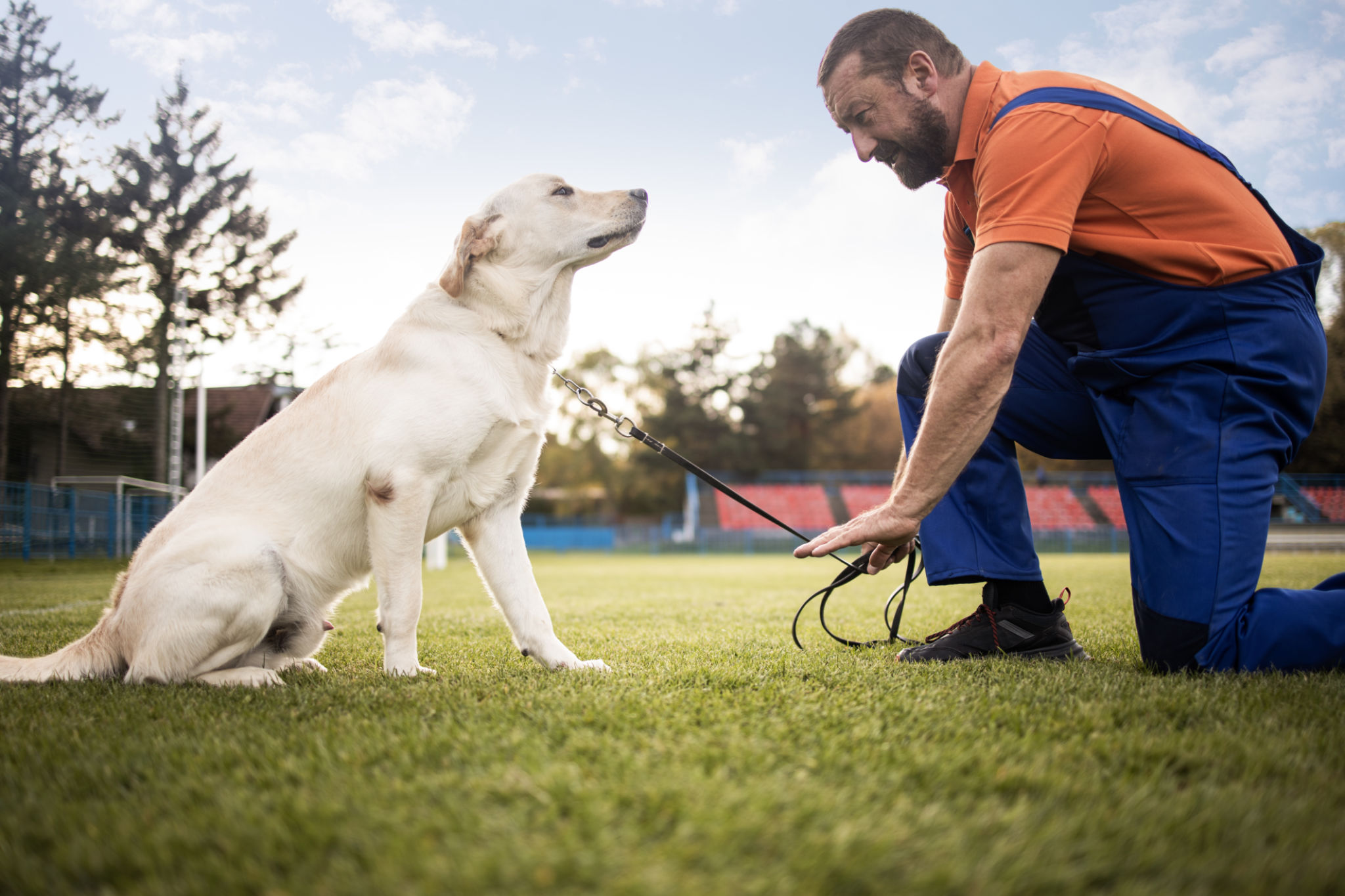 Time to study.man training his dog. Time to study.man training his dog.