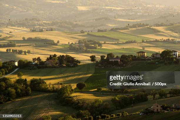 scenic view of agricultural field,filottrano,ancona,italy - region marken stock-fotos und bilder