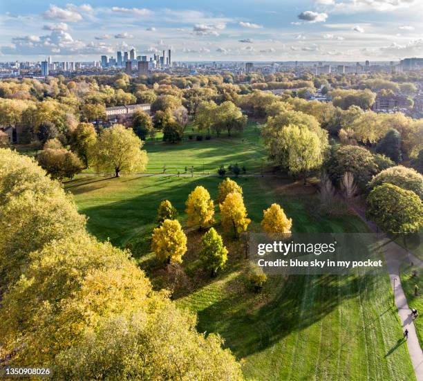 well street common, east london in autumn - victoria park london stock-fotos und bilder