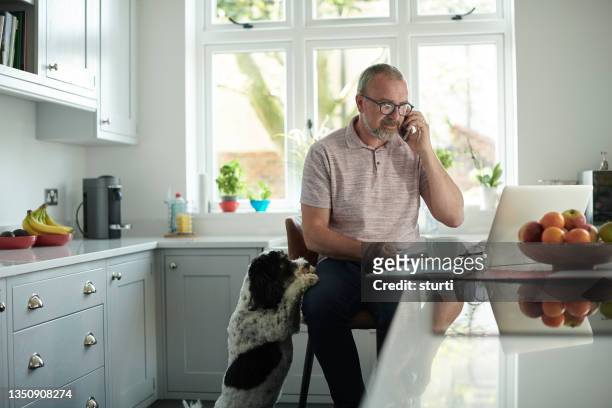 home finances phone call - middle age man with dog stockfoto's en -beelden