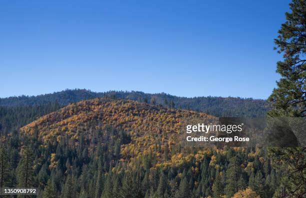 Hillside of trees turning color can be seen from the O'Shaughnessy Dam at Hetch Hetchy reservoir on October 28 in Yosemite National Park, California....