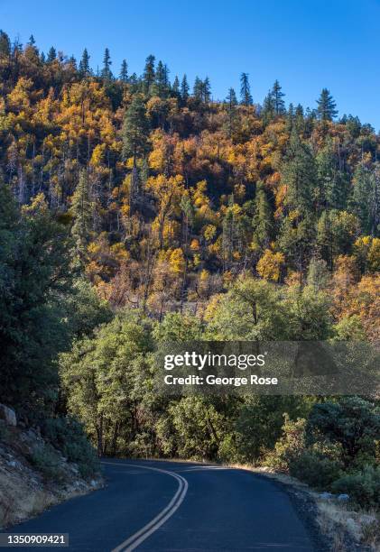 Hillside of trees turn color high above the O'Shaughnessy Dam at Hetch Hetchy reservoir on October 28 in Yosemite National Park, California. As the...