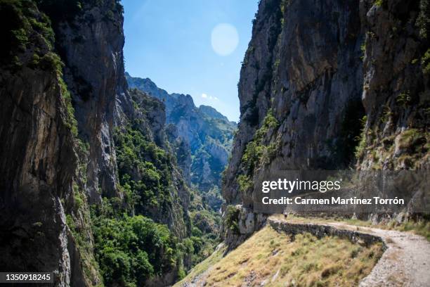 cares trail. asturias, spain - picos de europe stock pictures, royalty-free photos & images