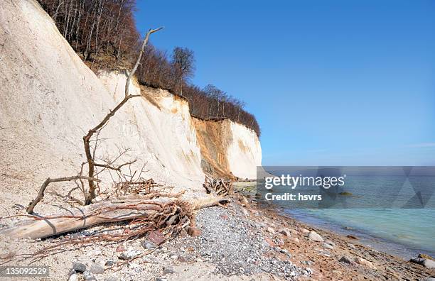 hdr der ostsee kreide rock rugosa rose (deutschland - kalkstein stock-fotos und bilder